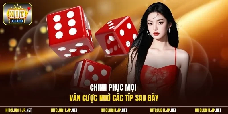 Chinh phục mọi ván cược nhờ các típ sau đây