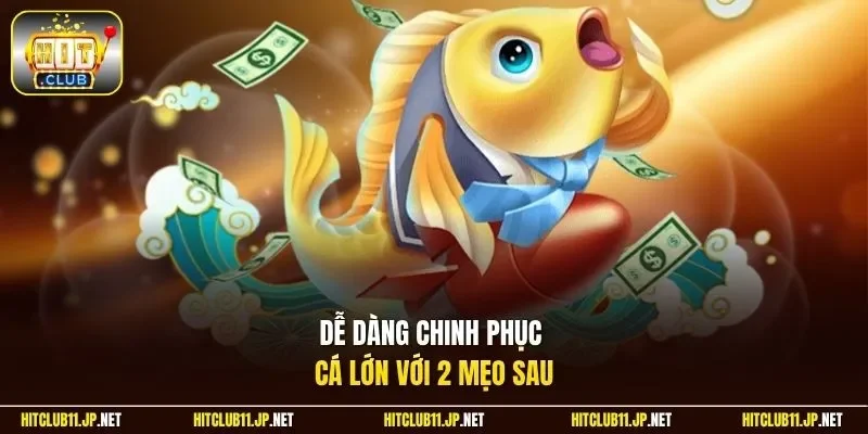 Dễ dàng chinh phục cá lớn với 2 mẹo sau