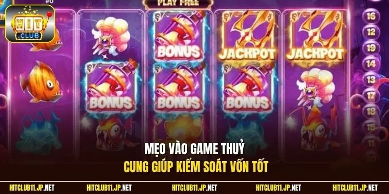 Mẹo vào game thuỷ cung giúp kiểm soát vốn tốt 