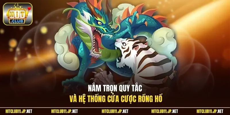 Nắm trọn quy tắc và hệ thống cửa cược Rồng Hổ